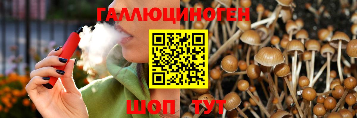 Галлюциногенные грибы MAGIC MUSHROOMS Красноуфимск